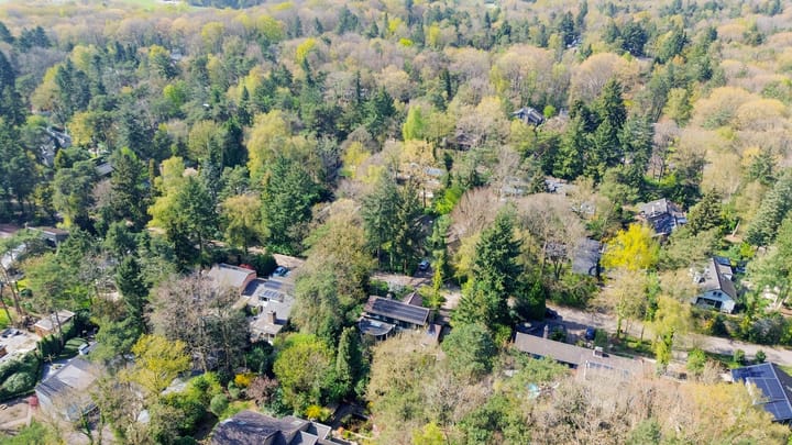 Foto 59 van Everlaan 26