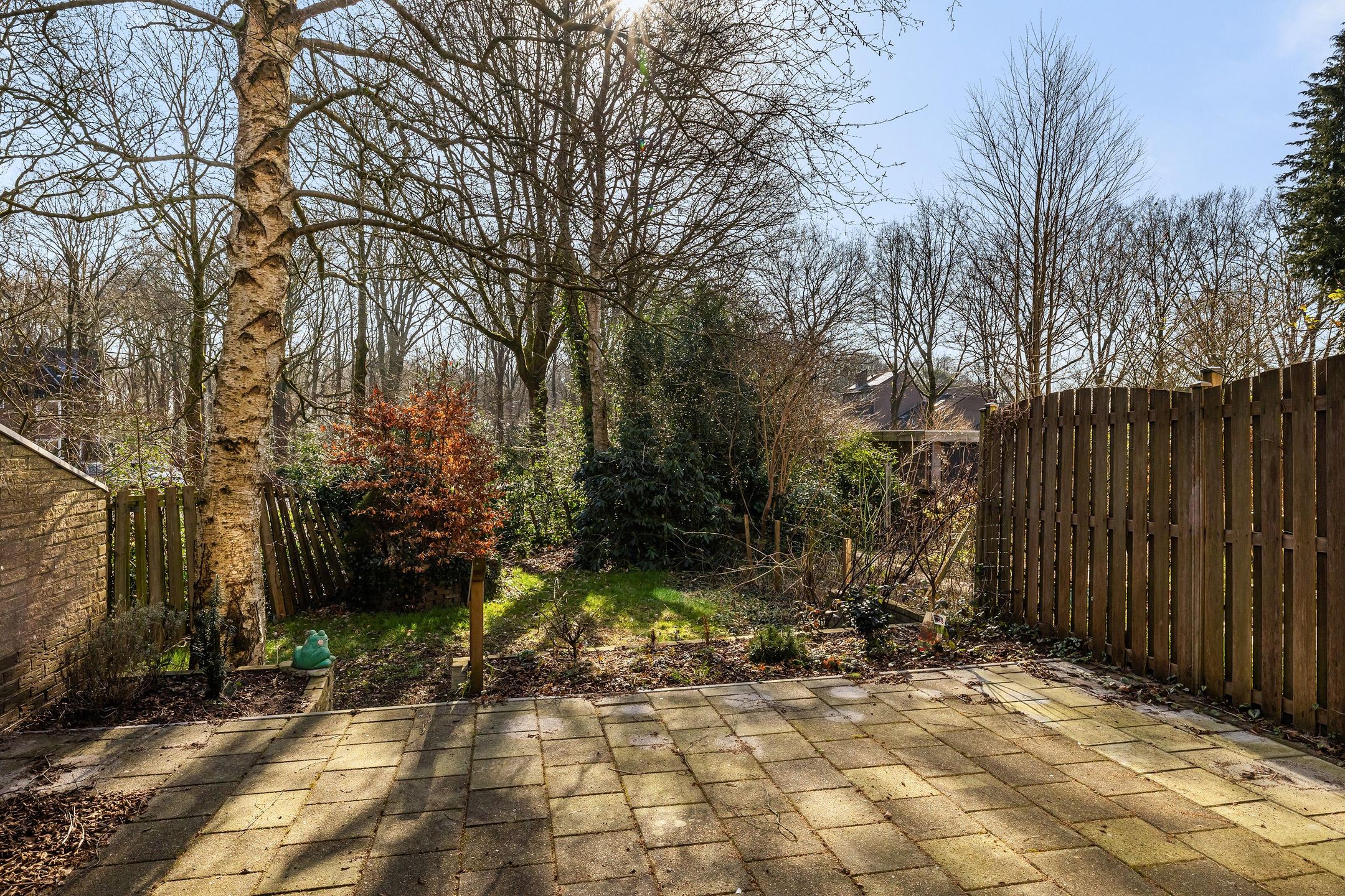 Foto 15 van De Wouden 88