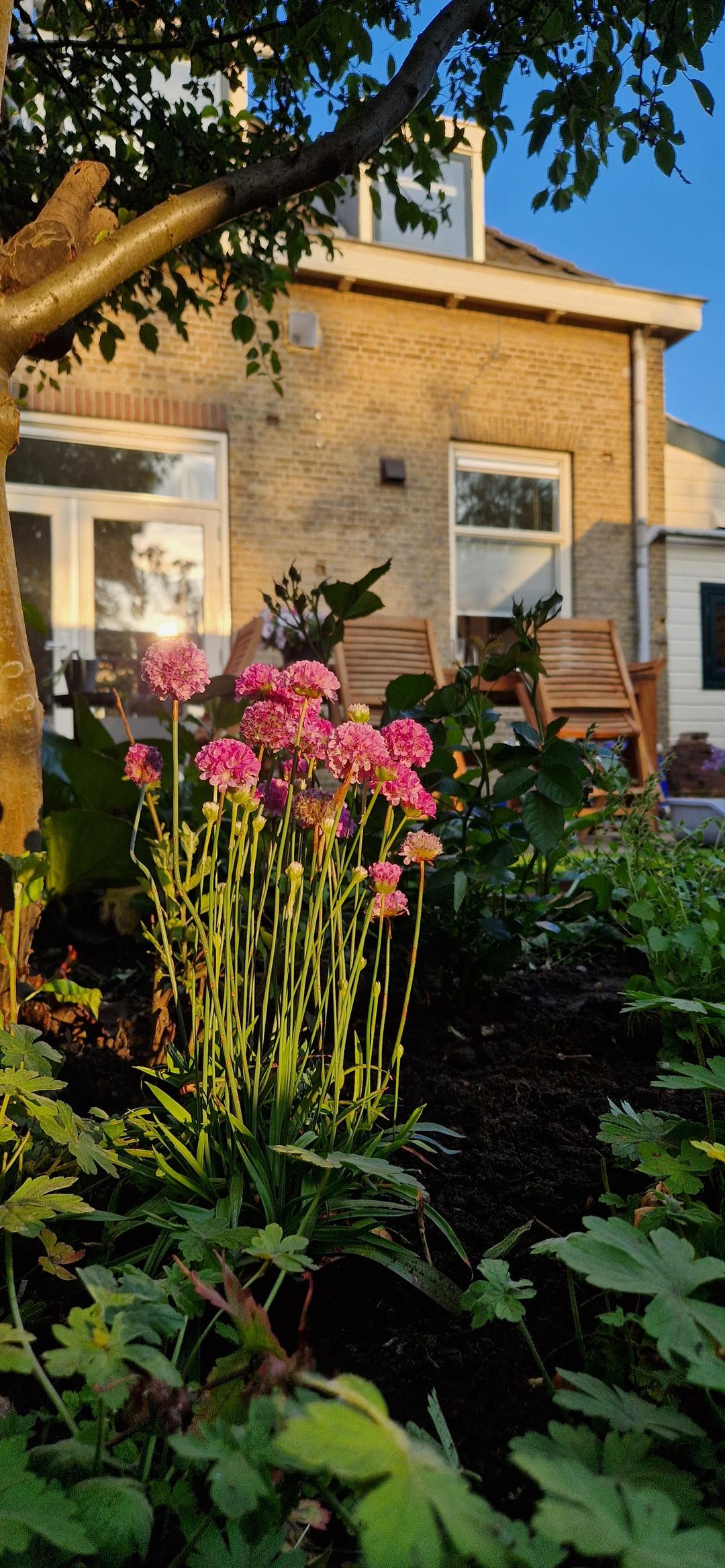 Foto 61 van Dr. Willem Vosstraat 19