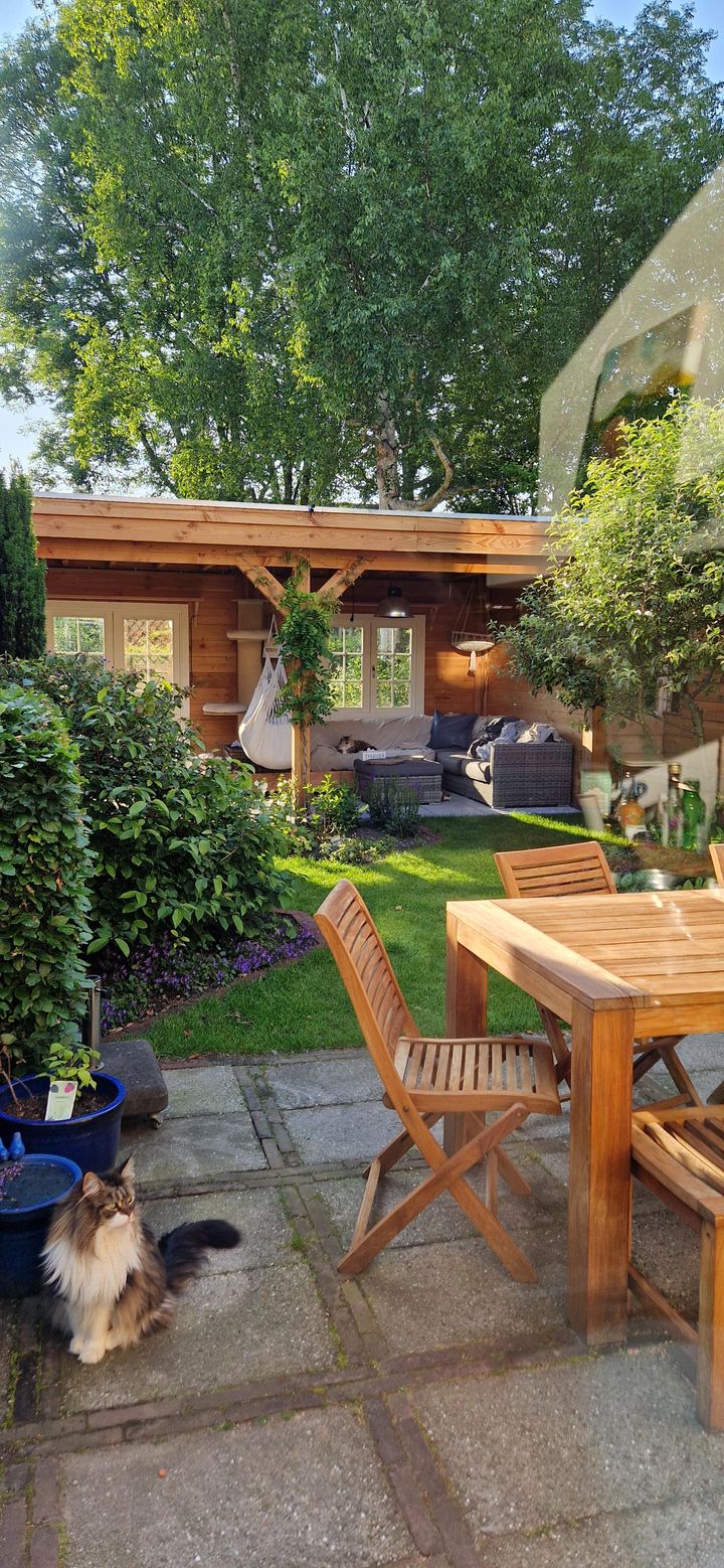 Foto 62 van Dr. Willem Vosstraat 19