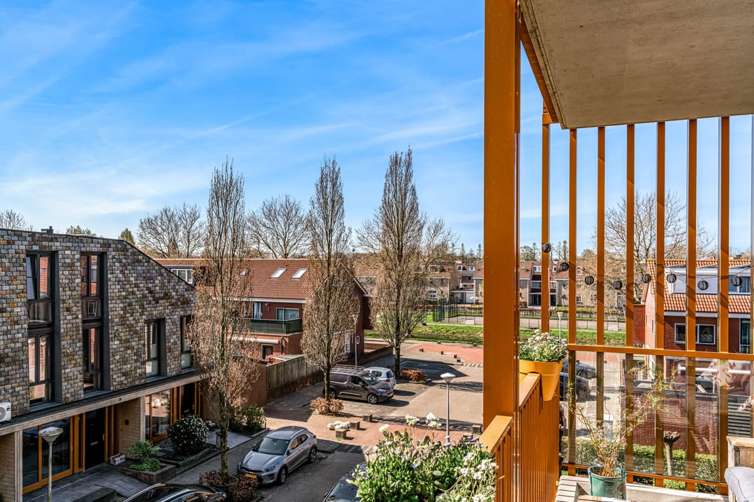 Photo 22 of Garen 12