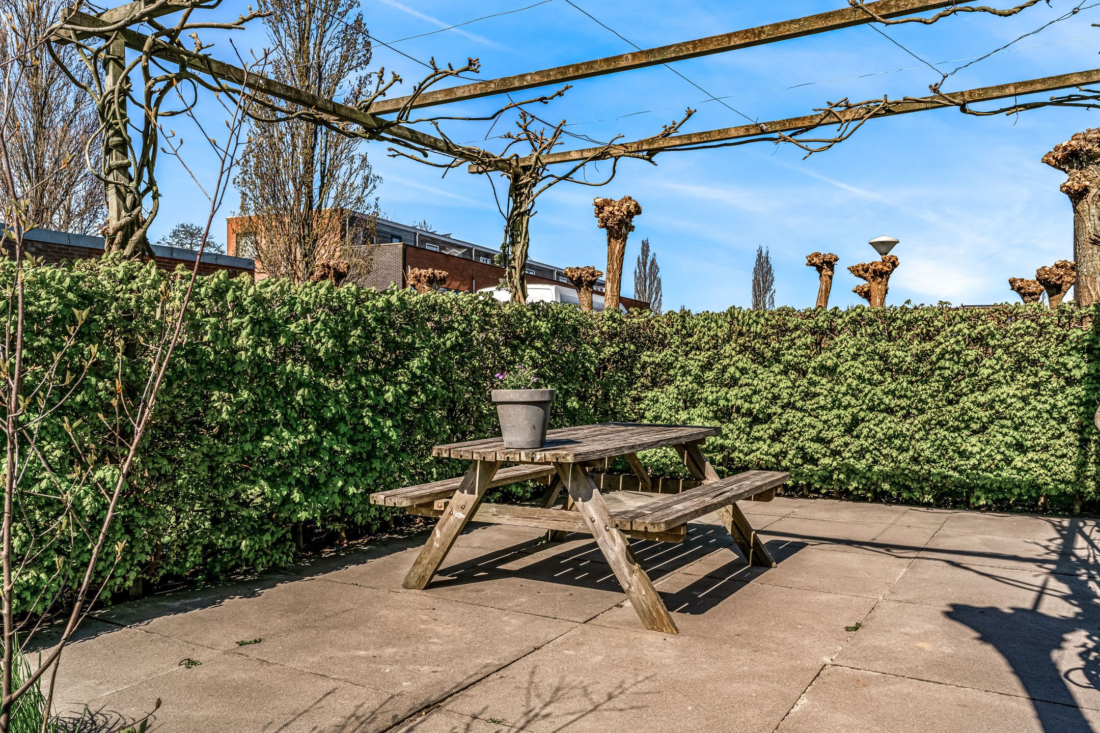 Photo 24 of Garen 12