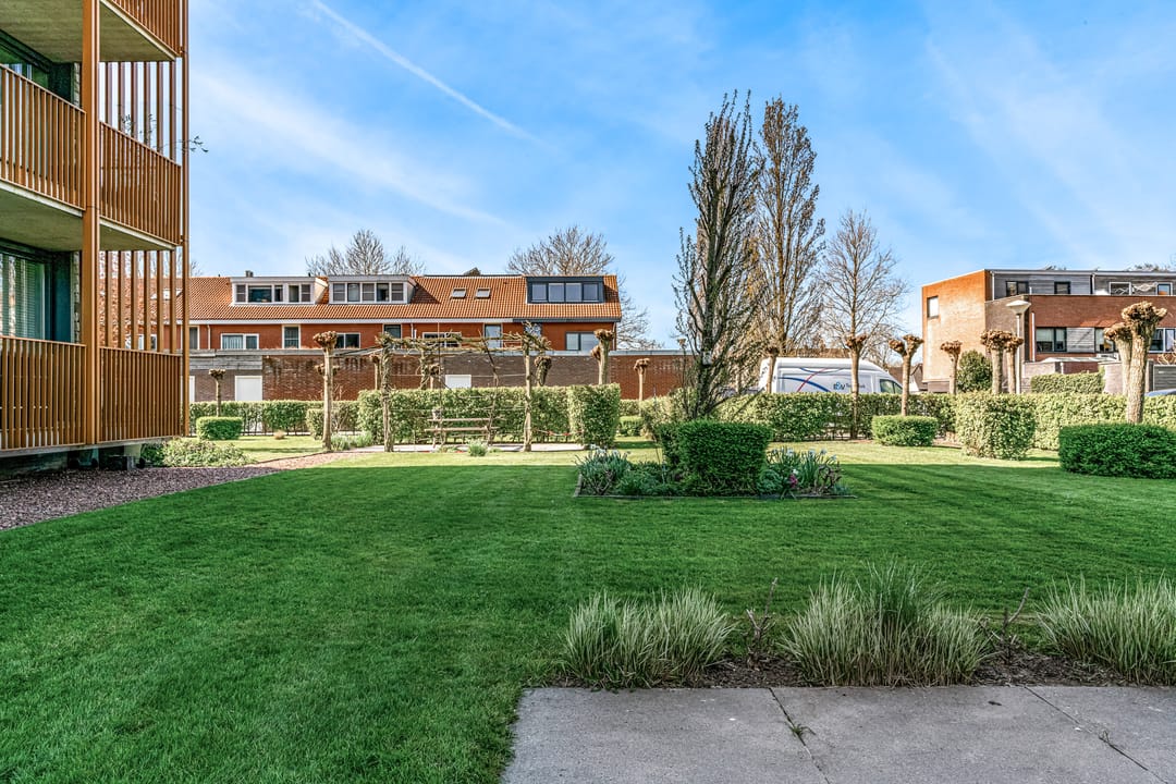 Photo 26 of Garen 12