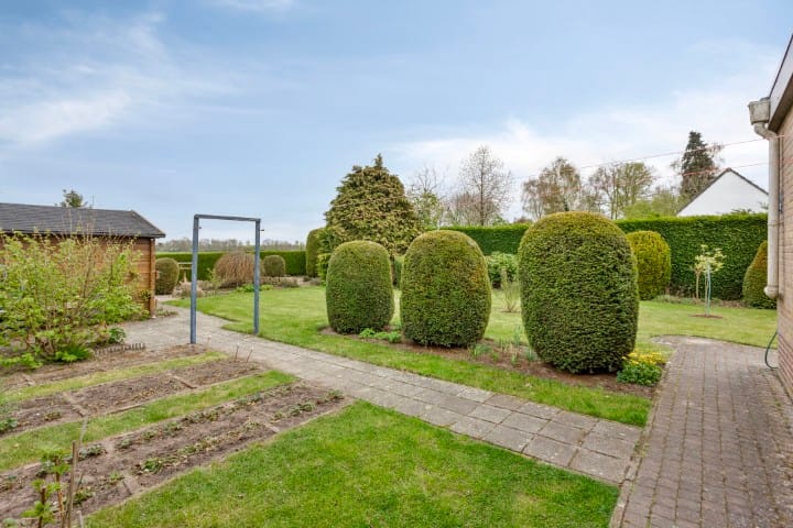 Foto 30 van Oude Breestraat 37