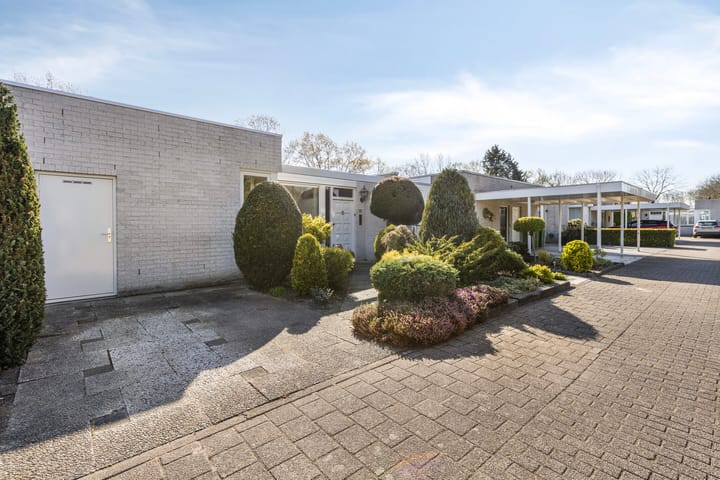 Foto 35 van Jabbekeplantsoen 10