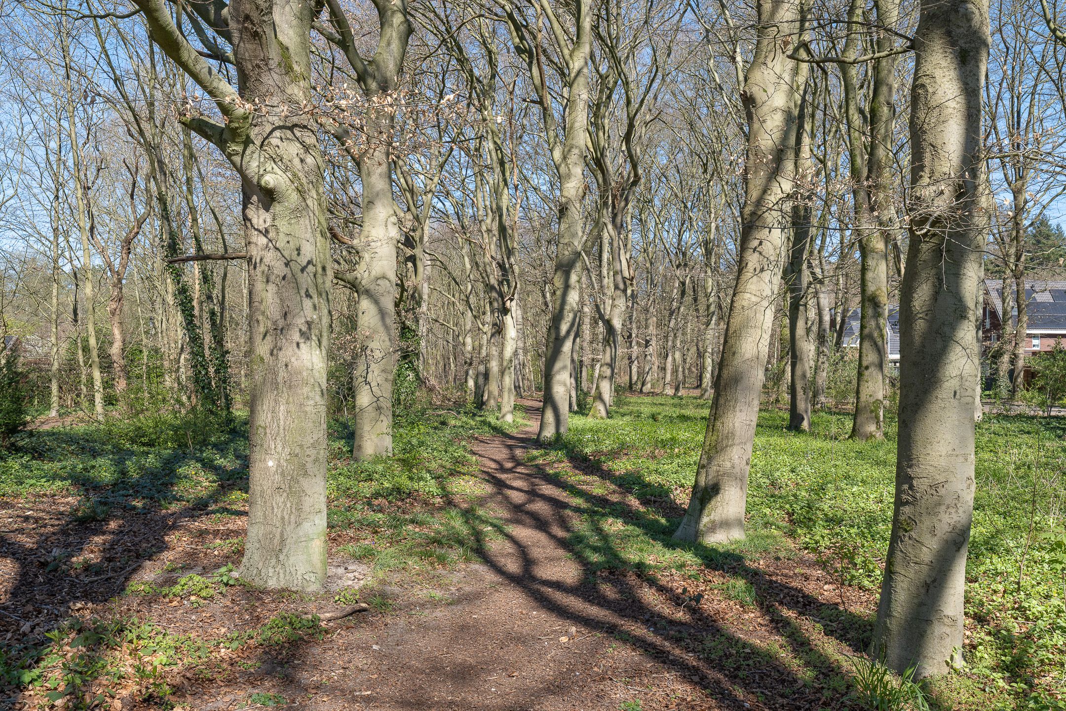 Photo 36 of Pater de Leeuwweg 31