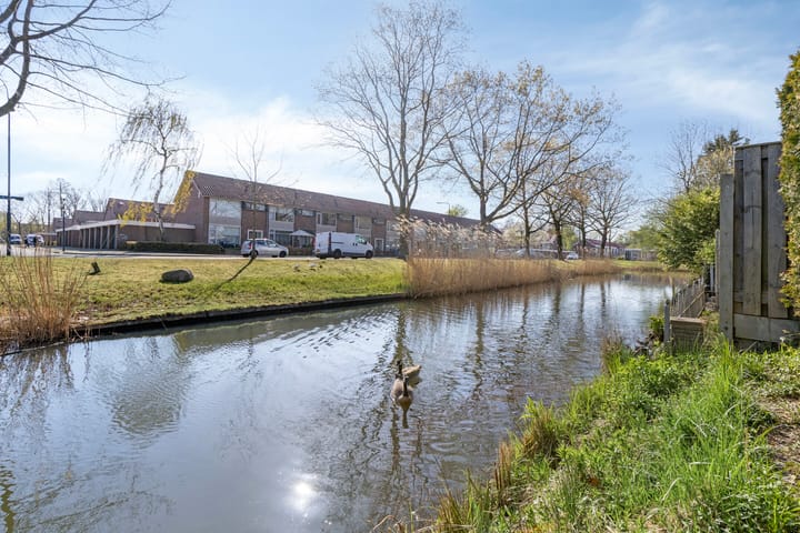 Foto 46 van Jabbekeplantsoen 10