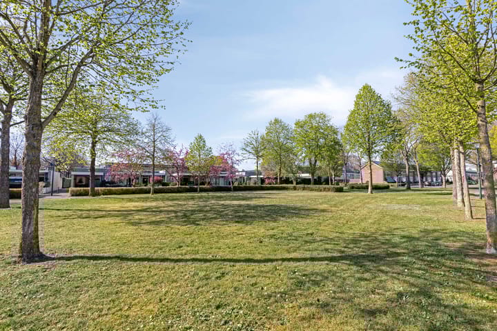 Foto 39 van Jabbekeplantsoen 10