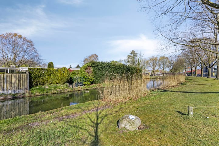 Foto 43 van Jabbekeplantsoen 10