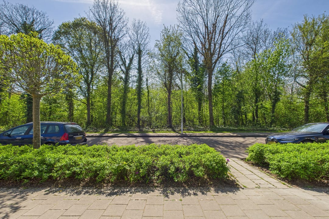 Foto 23 van Drostlaan 44