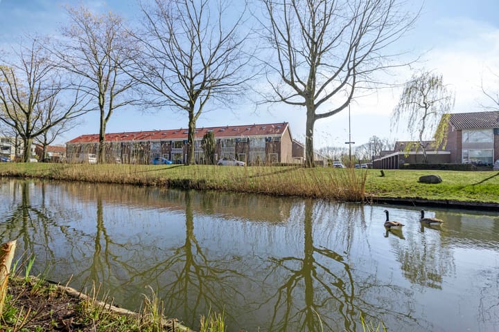 Foto 45 van Jabbekeplantsoen 10