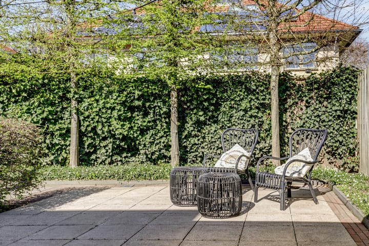 Foto 44 van Schaffelaarhout 24