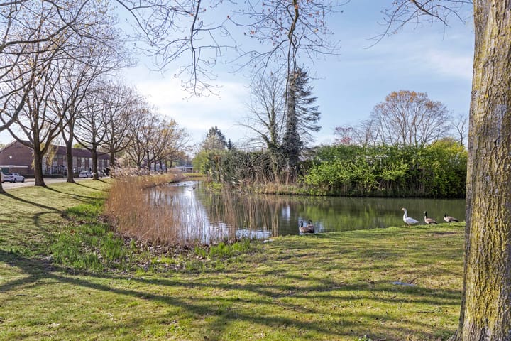 Foto 41 van Jabbekeplantsoen 10