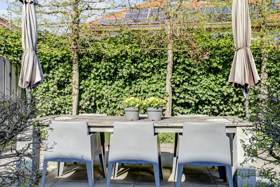 Foto 46 van Schaffelaarhout 24