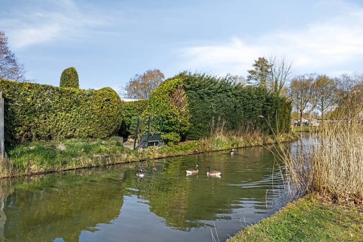 Foto 44 van Jabbekeplantsoen 10