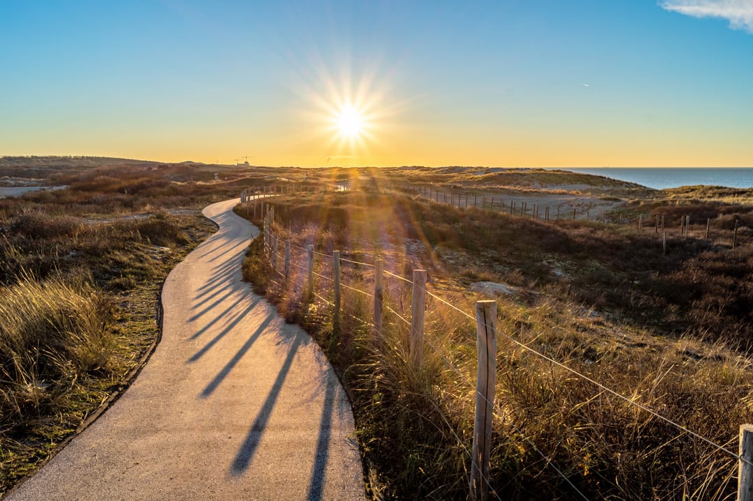 Photo 106 of Nieuwe Parklaan 15