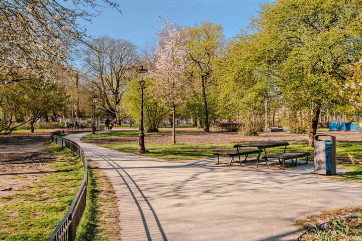 Foto 24 van Fagelstraat 20-3