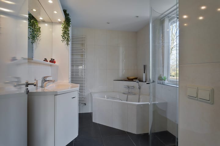 Foto 18 van De Theems 46