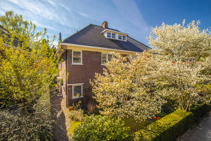 Foto 2 van Willem Honigweg 4