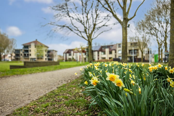 Foto 55 van Scherpencamp 7