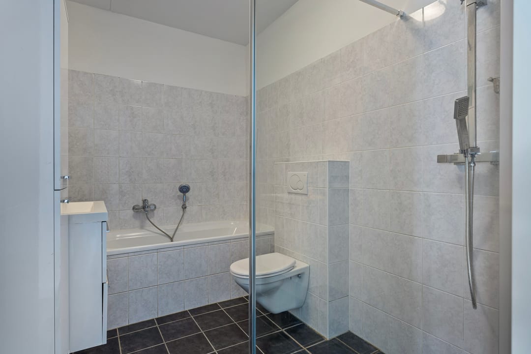 Foto 16 van Planken Wambuis 3