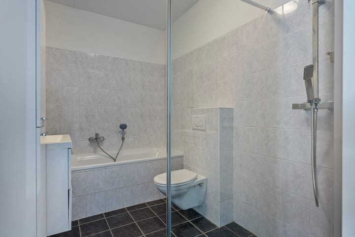 Foto 16 van Planken Wambuis 3