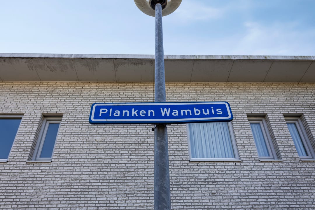 Foto 31 van Planken Wambuis 3