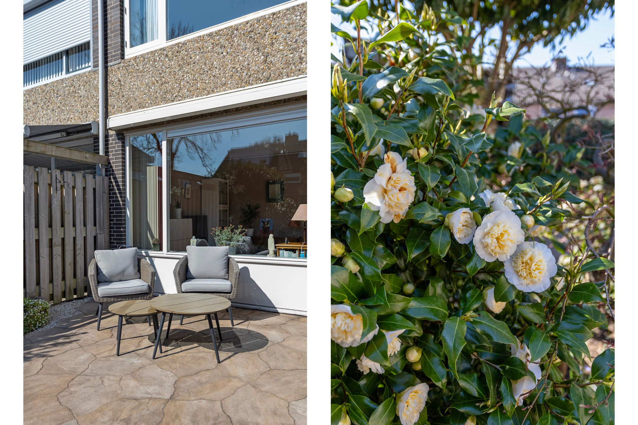 Foto 27 van Egelantier 10