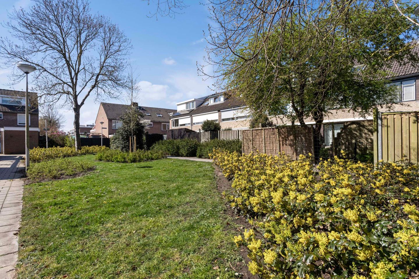 Foto 29 van Egelantier 10