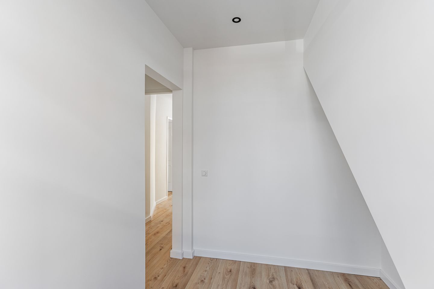 Foto 25 van Linnaeusstraat 314