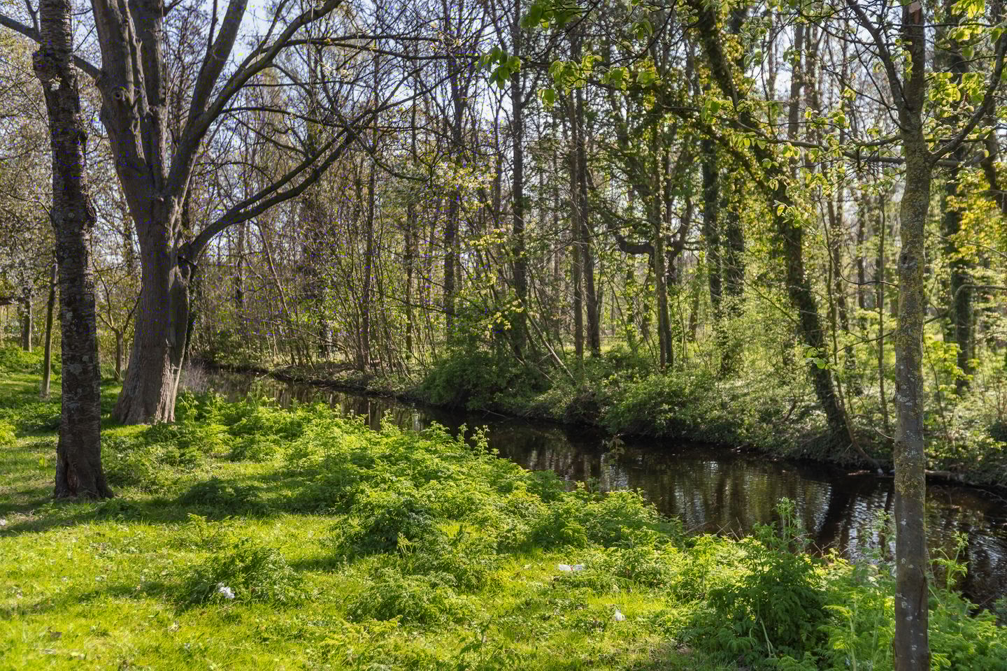 Foto 34 van Linnaeusstraat 314