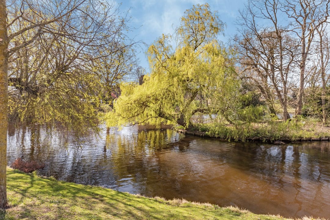 Foto 26 van Berckheydestraat 7-ZW