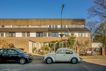 Bloemstede thumbnail