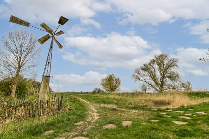 Foto 29 van Friesewal 59