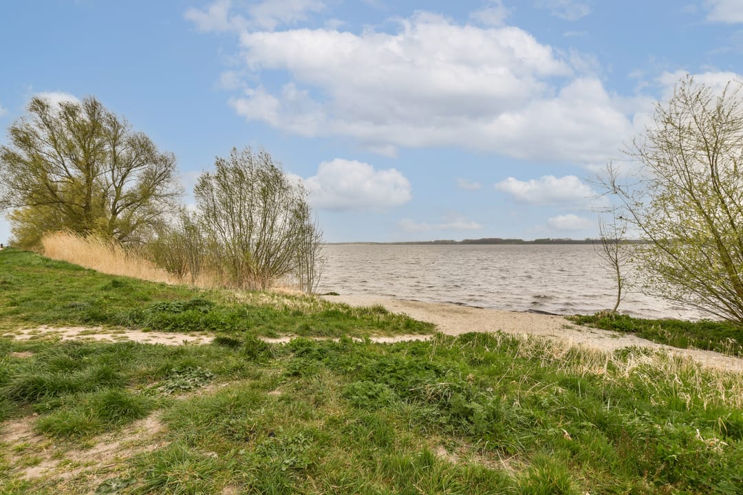 Foto 31 van Friesewal 59