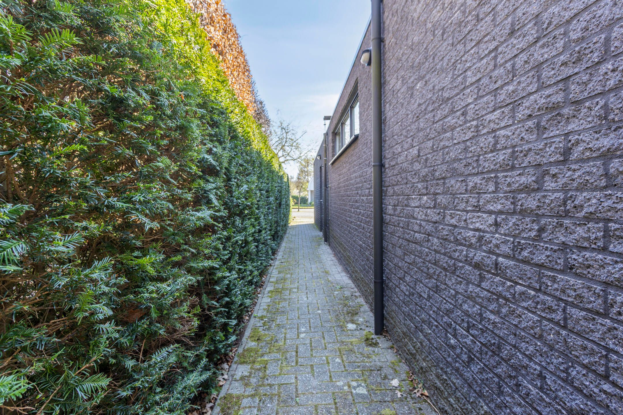 Foto 45 van Frans van Thoorlaan 9