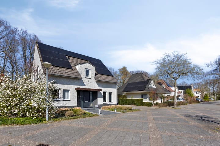 Foto 49 van Frans van Thoorlaan 9