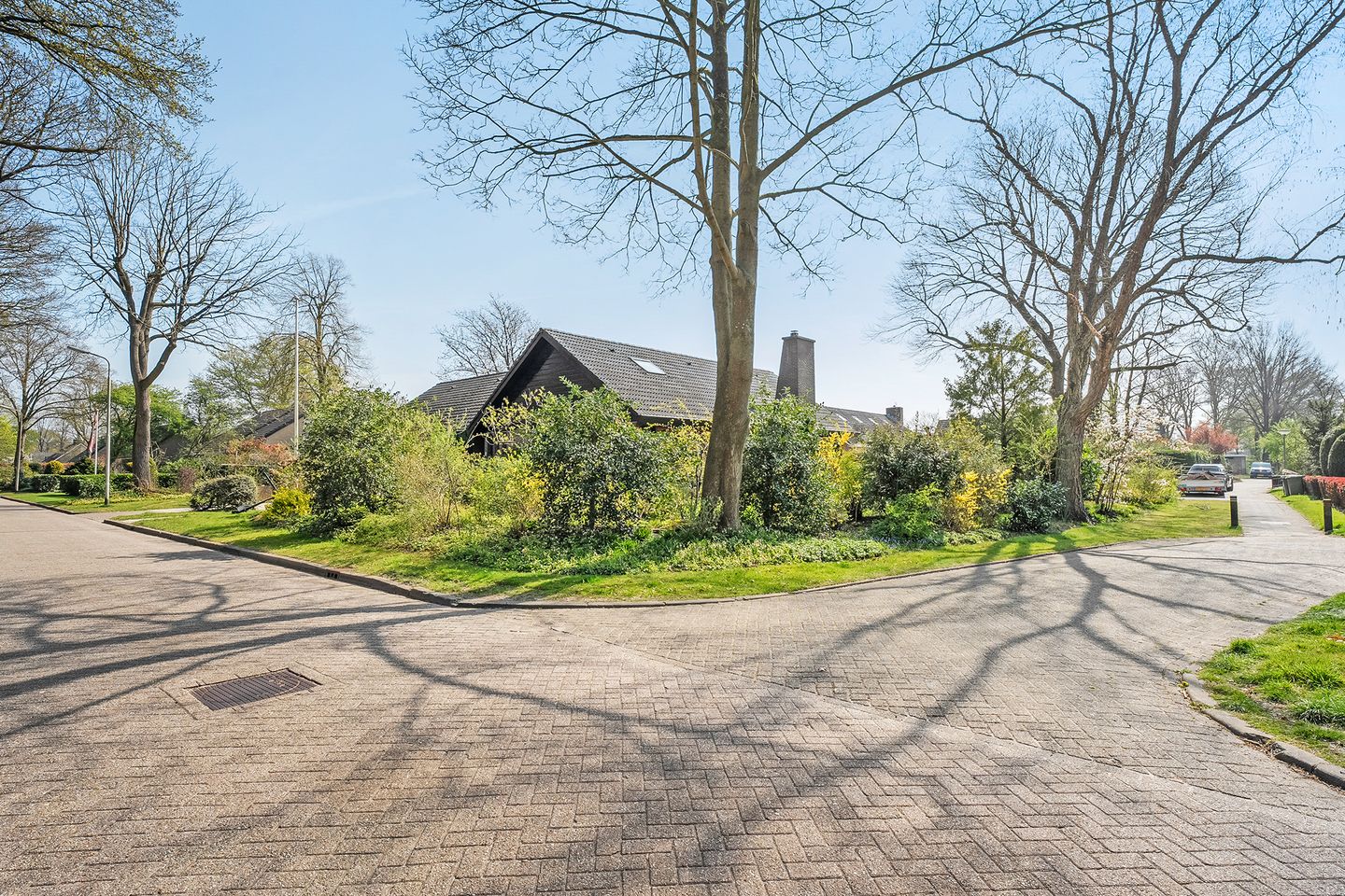 Photo 55 of Wandelbosweg 11