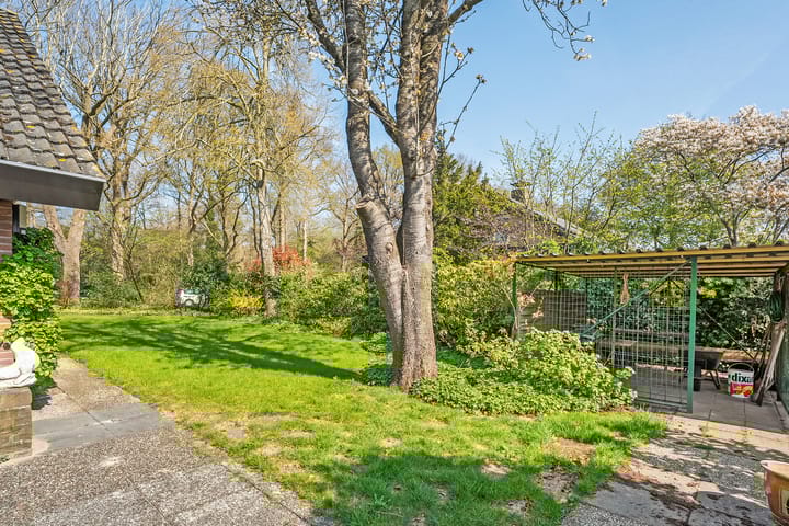 Foto 56 van Wandelbosweg 11