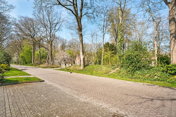 Foto 58 van Wandelbosweg 11