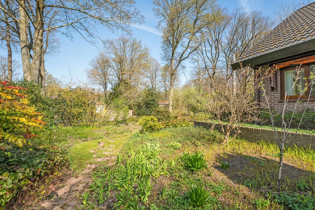Photo 61 of Wandelbosweg 11
