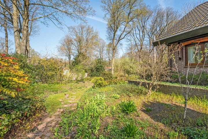 Foto 61 van Wandelbosweg 11