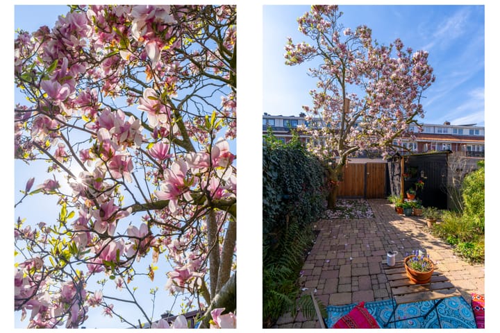 Foto 45 van Hooft Graaflandstraat 153