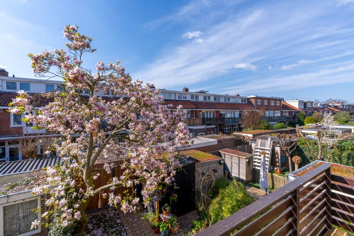 Foto 60 van Hooft Graaflandstraat 153