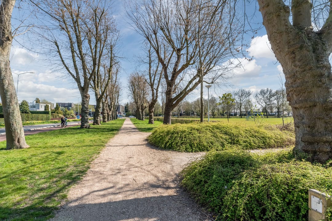 Foto 43 van Johannes Bosboomstraat 7