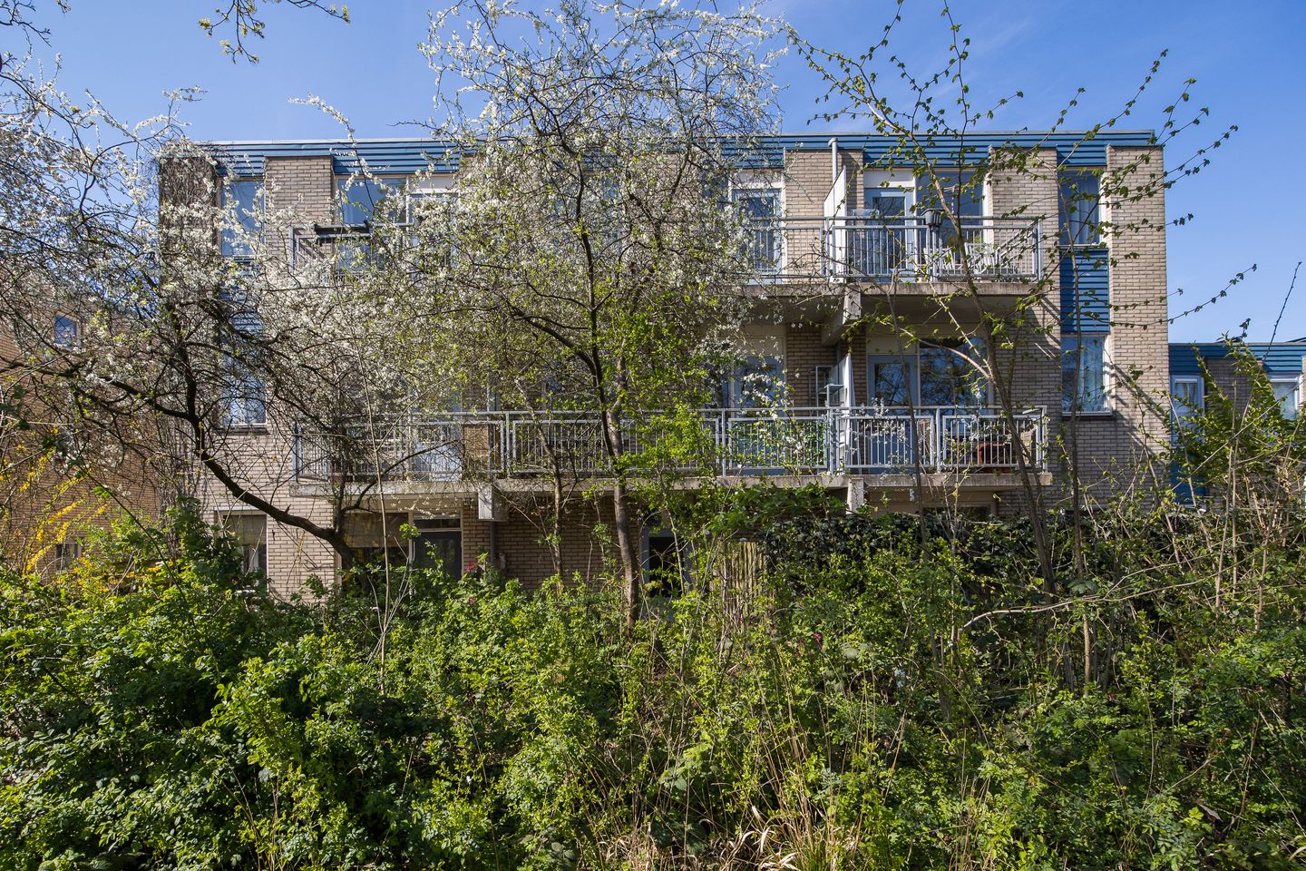 Foto 5 van Jungfrau 60