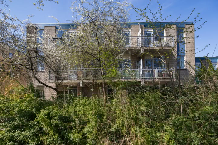 Foto 5 van Jungfrau 60