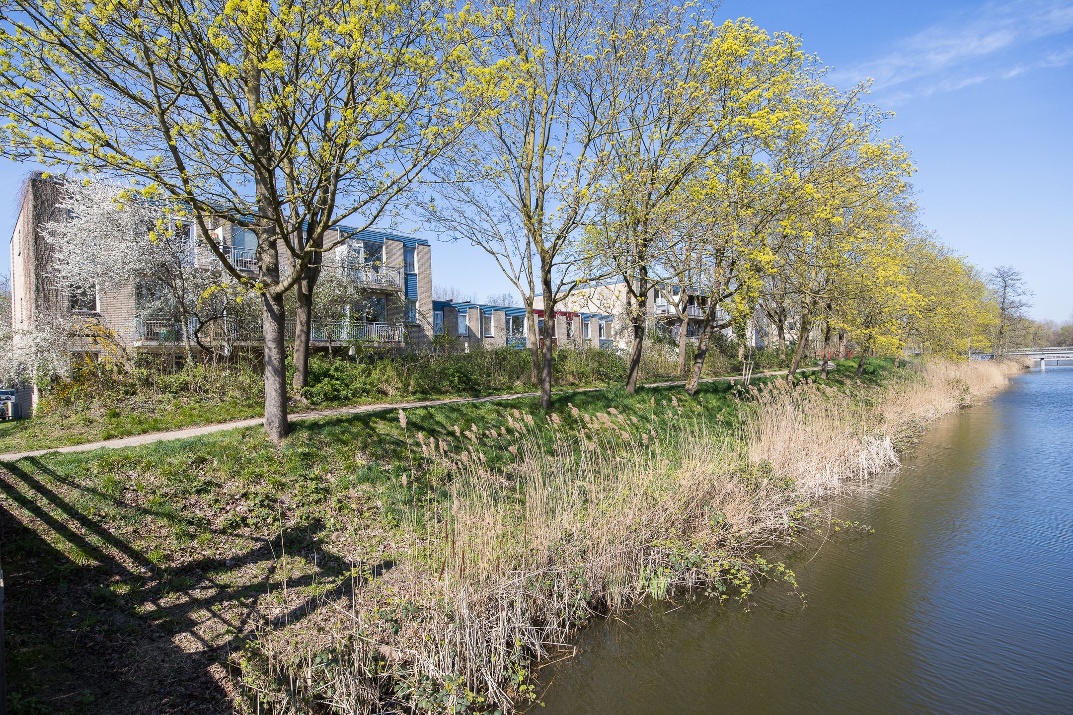 Foto 6 van Jungfrau 60