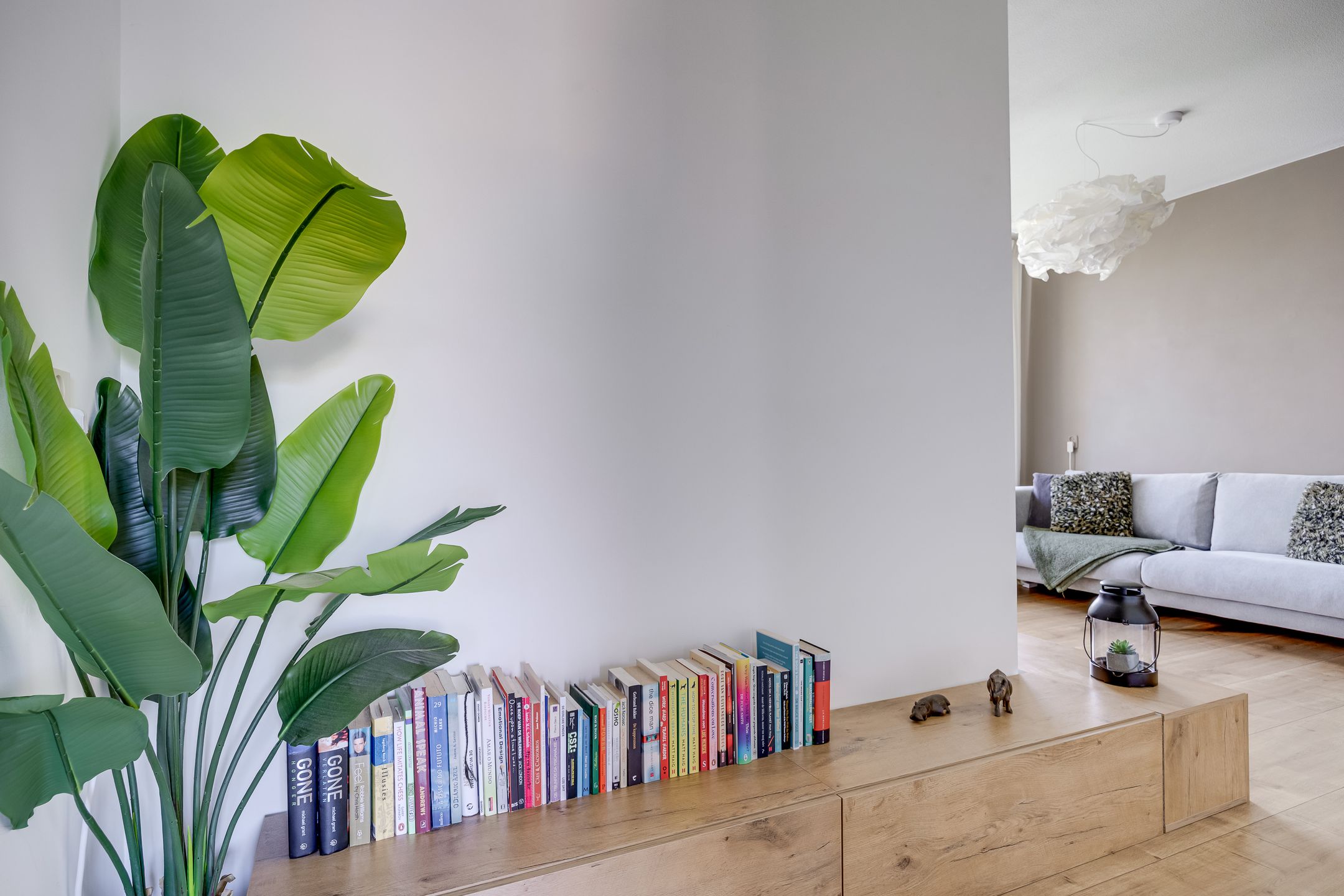 Foto 9 van Jungfrau 60