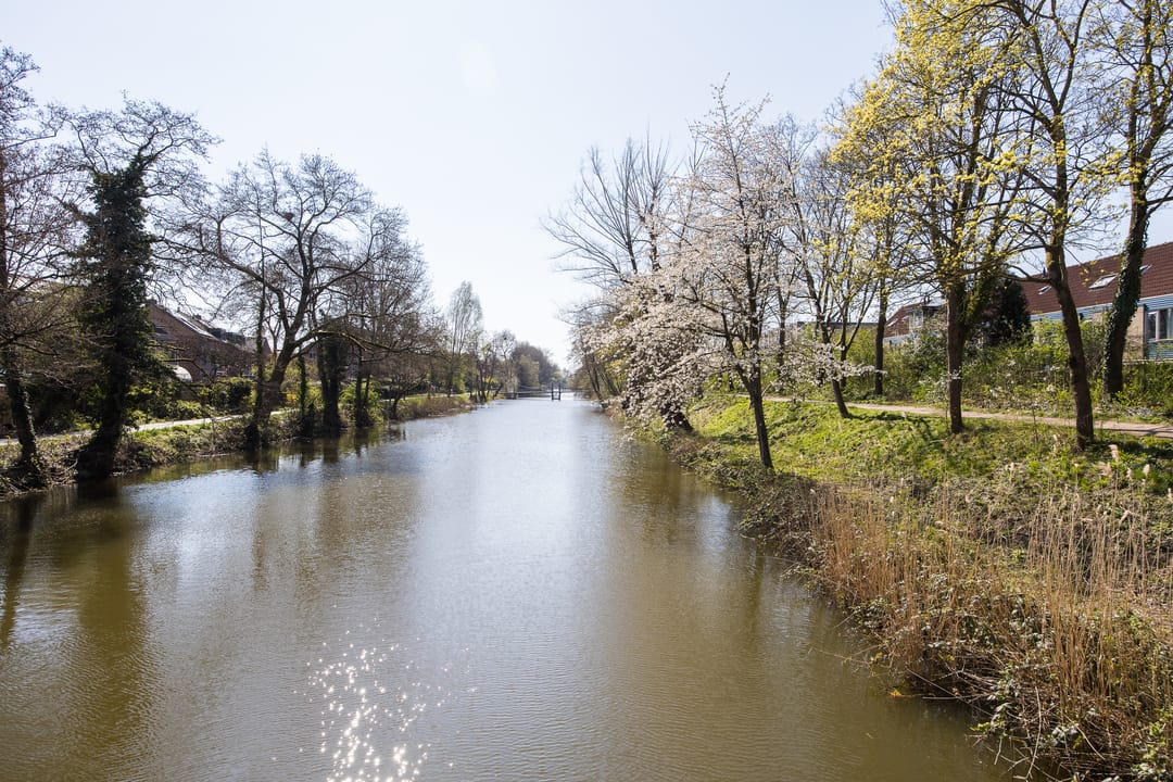 Foto 37 van Jungfrau 60